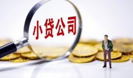 西安14个人借贷-西安14小额贷款官网-西安14身份证贷款